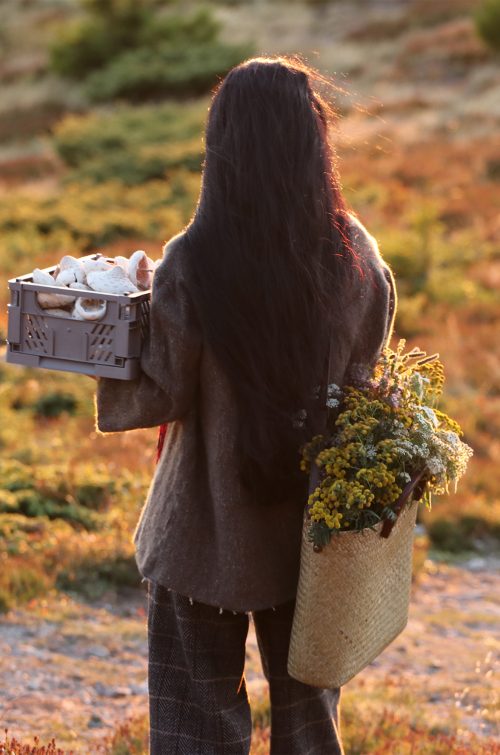 Fitoterapie-și-Remedii-Naturale